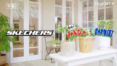 スケッチャーズ × 嗚呼!!みんなの動物園